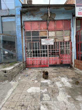 Güvenay - Çorum Büyük Otel Arkası Kiralık 90 M² Dükkan 