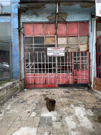 Güvenay - Çorum Aşağı Sanayi Sitesin de Satılık 90 m2 Dükkan 