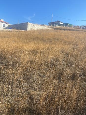 GÜVENAY - ÇORUM ESKİ EKİN YOLU ÜZERİ SATILIK HOBİ BAHÇESİ