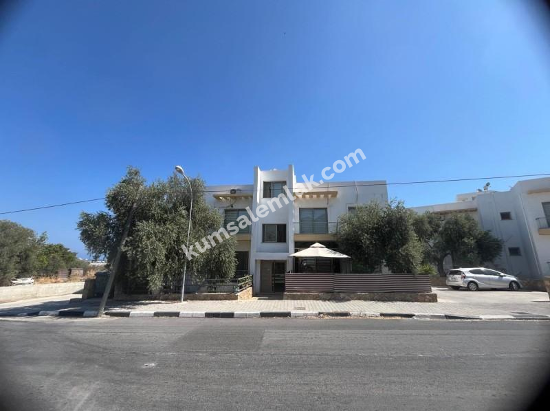 Zeytinlik'de Türk Malı Yeni 1+1 Daire