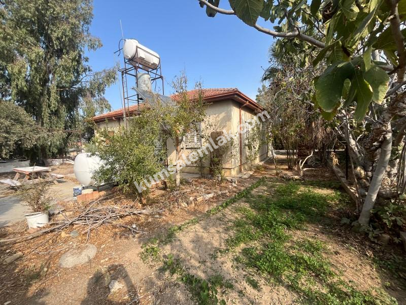 ALAYKÖY'DE  3+1 TEK KATLI MÜSTAKİL  BAHÇELİ EV