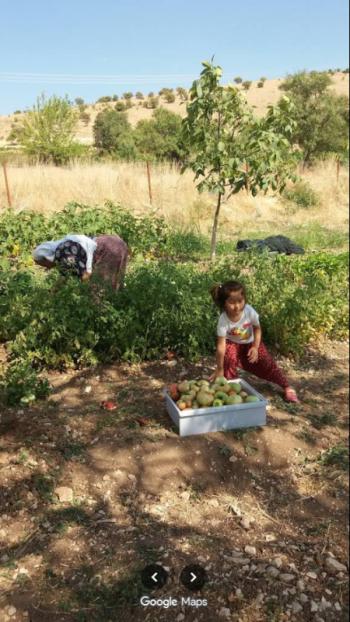 ELAZIĞ AĞIN MÜSTAKİL EV TAPU SAHİBİ PERTA EMLAK ÜMİT TAHMAZ