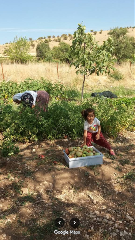 ELAZIĞ AĞIN MÜSTAKİL EV TAPU SAHİBİ PERTA EMLAK ÜMİT TAHMAZ