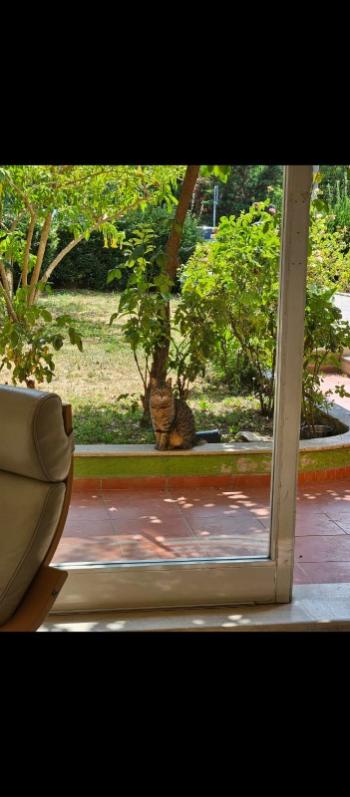 YOĞURTÇU PARKI 1+1 YATIRIMLIK 67 m2 SATILIK DAİRE