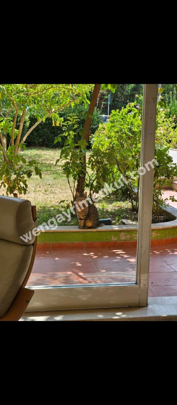 YOĞURTÇU PARKI 1+1 YATIRIMLIK 67 m2 SATILIK DAİRE