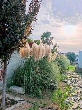 Didim'de Satılık Kapalı Otoparklı Müstakil Villa - 620m2 Arsa