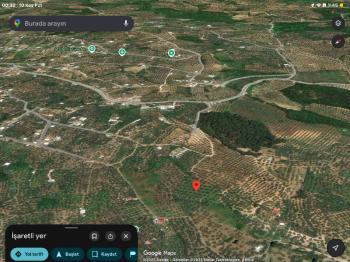 DijitalEmlak´tan Mudanya Çepnide Köy yerleşime yakın 3.5 dönüm Satılık Zeytinlik. 