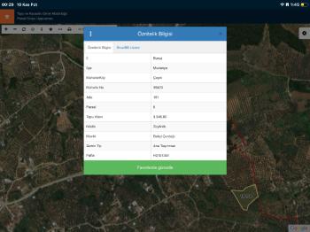 DijitalEmlak´tan Mudanya Çepnide Köy yerleşime yakın 3.5 dönüm Satılık Zeytinlik. 