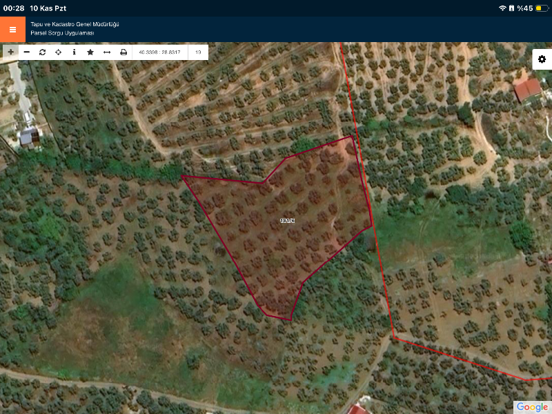 DijitalEmlak´tan Mudanya Çepnide Köy yerleşime yakın 3.5 dönüm Satılık Zeytinlik. 