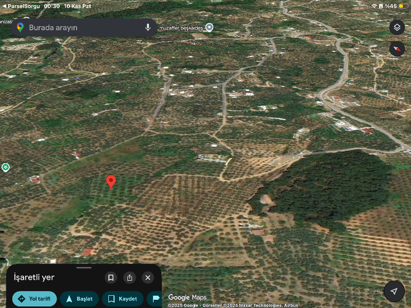 DijitalEmlak´tan Mudanya Çepnide Köy yerleşime yakın 3.5 dönüm Satılık Zeytinlik. 