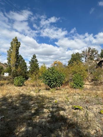 GÜVENAY - ÇORUM ÇOMAR BARAJI ÜST TARAFINDA  SATILIK 1,435 M² BAĞ