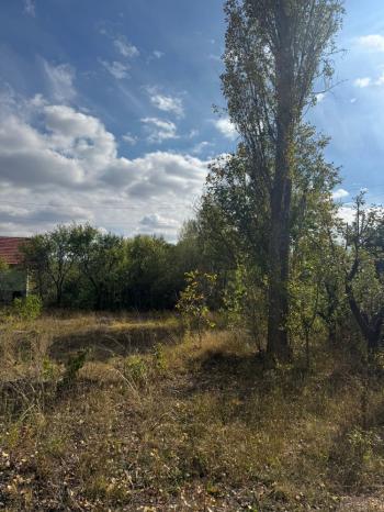 GÜVENAY - ÇORUM ÇOMAR BARAJI ÜST TARAFINDA  SATILIK 1,435 M² BAĞ