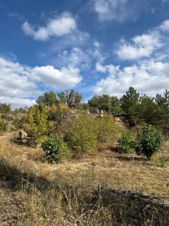 GÜVENAY - ÇORUM ÇOMAR BARAJI ÜST TARAFINDA  SATILIK 1,435 M² BAĞ