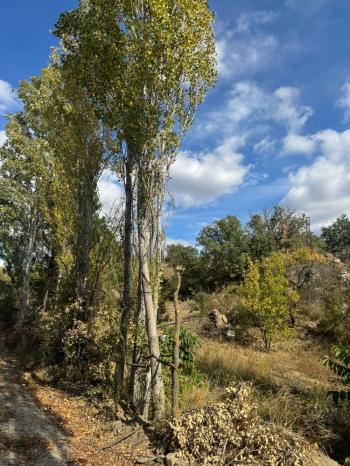 GÜVENAY - ÇORUM ÇOMAR BARAJI ÜST TARAFINDA  SATILIK 1,435 M² BAĞ