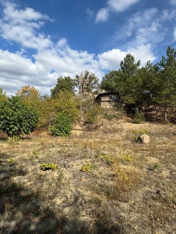 GÜVENAY - ÇORUM ÇOMAR BARAJI ÜST TARAFINDA  SATILIK 1,435 M² BAĞ