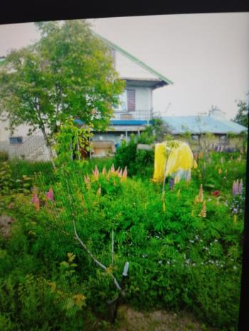 RUMŞAH YAYLASINDA SATILIK EV VE ARSA