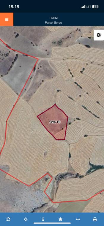 GÜVENAY - ÇORUM MERKEZ ÇOBANDİVAN KÖYÜ 7,398M2 SATILIK TARLA