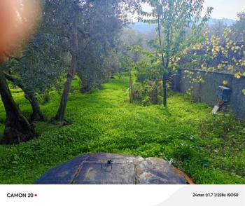 BURSA, MUDANYA-IŞIKLI YOLU'NDA ASFALTA CEPHE İÇİNDE 2 KATLI MÜSTAKİL EVİ OLAN 2.200 M2 ZEYTİNLİK