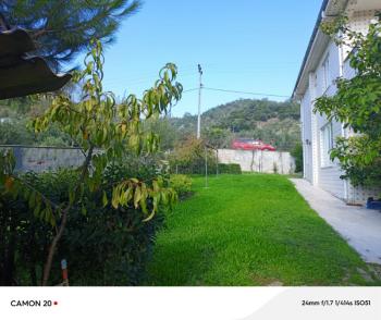 BURSA, MUDANYA-IŞIKLI YOLU'NDA ASFALTA CEPHE İÇİNDE 2 KATLI MÜSTAKİL EVİ OLAN 2.200 M2 ZEYTİNLİK