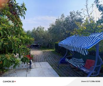 BURSA, MUDANYA-IŞIKLI YOLU'NDA ASFALTA CEPHE İÇİNDE 2 KATLI MÜSTAKİL EVİ OLAN 2.200 M2 ZEYTİNLİK