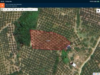 DijitalEmlak’tan Mudanya Çepni’de Satılık 3564 m2 Kıymetli Arazi. 