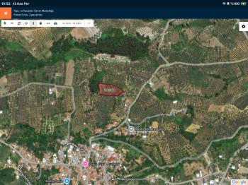 DijitalEmlak’tan Mudanya Çepni’de Satılık 3564 m2 Kıymetli Arazi. 