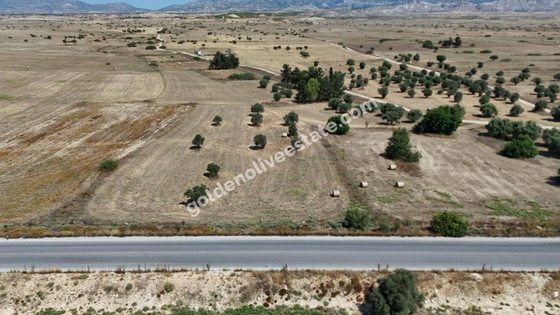 Akova- Geçitkale/iskele anayolu üzeri   -SATILIK ARAZİ