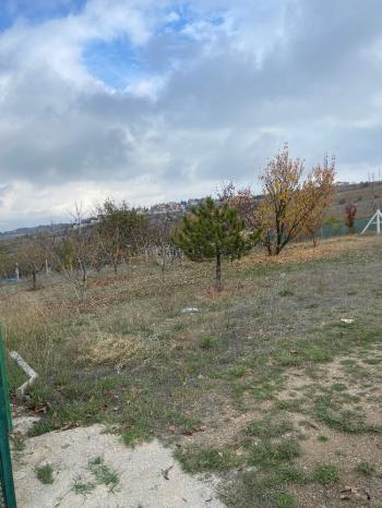 GÜVENAY - ÇORUM PANCARLIK  KÖYÜ  SATILIK HOBİ BAHÇESİ 