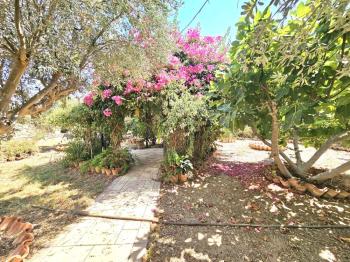 KKTC Girne Karaoğlanoğlu'nda Denize Sıfır Geniş Bahçeli Satılık 3+1 Villa