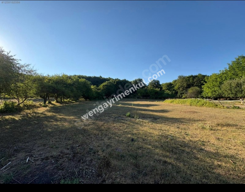 İstanbul Şile' de Villa imarlı arsa