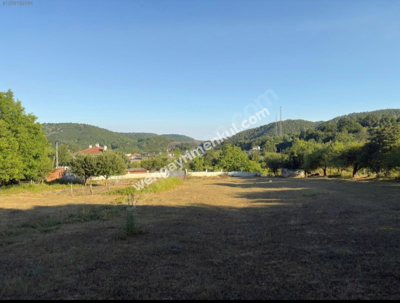 İstanbul Şile' de Villa imarlı arsa