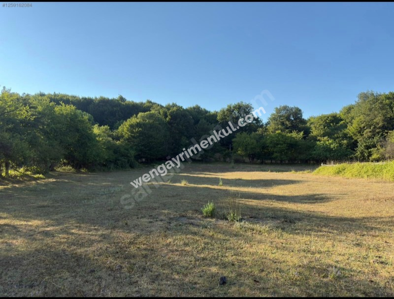 İstanbul Şile' de Villa imarlı arsa