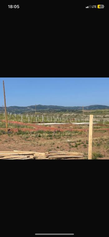 GÜVENAY - ÇORUM SARMAŞA MEVKİ SATILIK HOBİ BAHÇESİ 