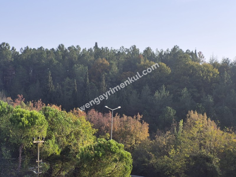 Sakaray ili Serdivanda bulunan muhteşem göl manzaralı villa