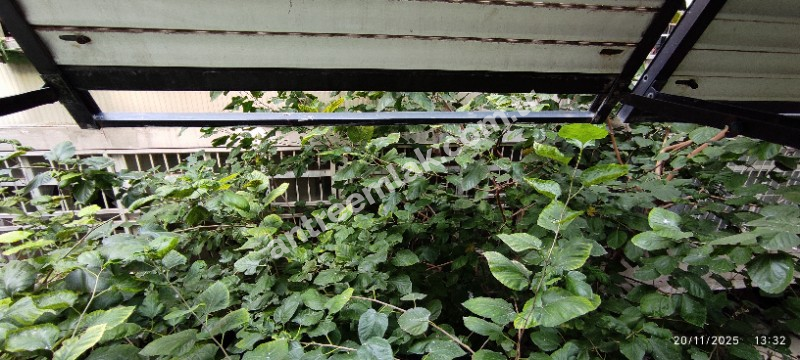 Antre Emlak'tan Satılık Bahçelievler'de Hastane Yanı Cadde Üstü Sıfırlanmış 2+1, Doğalgazlı Daire