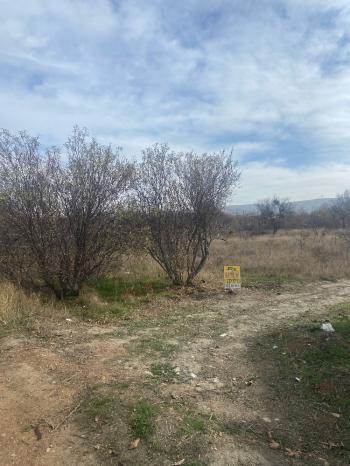 GÜVENAY - ÇORUM ESKİEKİN KÖYÜ 1738 M2 SATILIK BAĞ