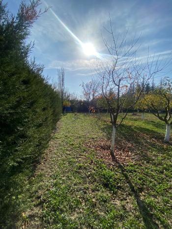 GÜVENAY - ÇORUM MERKEZ İLİCE DE SATILIK LÜKS BAĞ