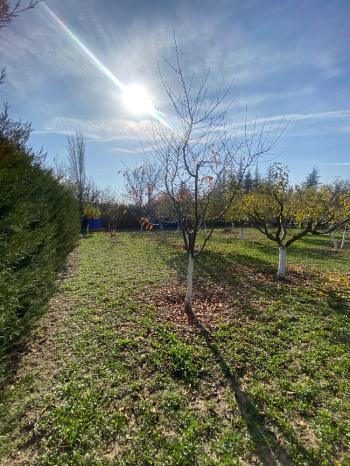 GÜVENAY - ÇORUM MERKEZ İLİCE DE SATILIK LÜKS BAĞ