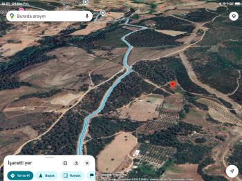 DijitalEmlak’tan Kestel Ağlaşan’da Satılık 2.374 m2 Ormana Cephe Kıymetli Tarla