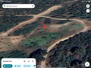 DijitalEmlak’tan Kestel Ağlaşan’da Satılık 2.374 m2 Ormana Cephe Kıymetli Tarla