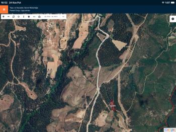 DijitalEmlak’tan Kestel Ağlaşan’da Satılık 2.374 m2 Ormana Cephe Kıymetli Tarla