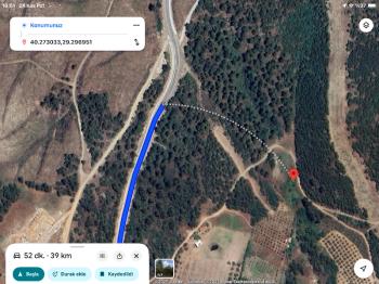 DijitalEmlak’tan Kestel Ağlaşan’da Satılık 2.374 m2 Ormana Cephe Kıymetli Tarla