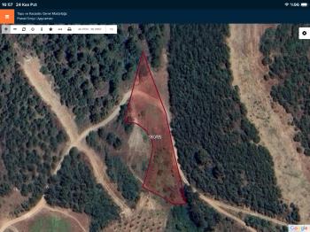 DijitalEmlak’tan Kestel Ağlaşan’da Satılık 2.374 m2 Ormana Cephe Kıymetli Tarla