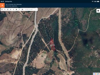 DijitalEmlak’tan Kestel Ağlaşan’da Satılık 2.374 m2 Ormana Cephe Kıymetli Tarla