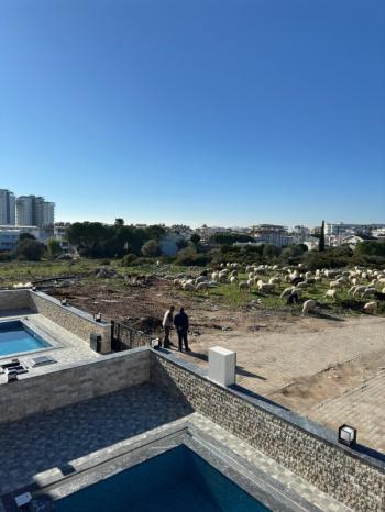 DİDİM ALTINKUM MAHALLESİNDE 290 M² ARSA İÇİNDE  4+1 TAM MÜSTAKİL HAVUZLU LÜKS VİLLA