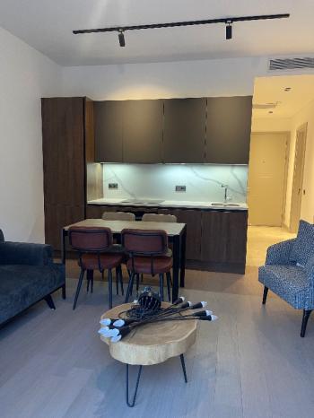 Wen Gayrimenkul den Naturalist Verde Kemerburgaz Projesinde Mobilyalı Kiralık 1+1 Bahçe Katı Daire