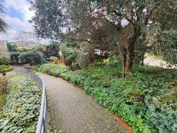 Soyak Olympiakent 14/1 Bölgede Kiralık 3+1 125m2 Full Peyzaj Gören Ferah Daire 