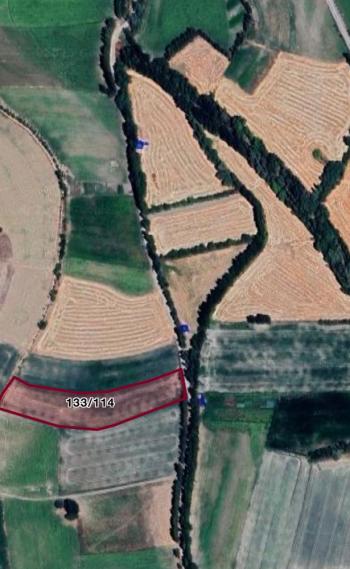 GÜVENAY - ÇORUM MERKEZ BEYDİLLİ KÖY YOLU ÜZERİ SATILIK TARLA 