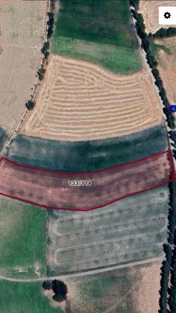 GÜVENAY - ÇORUM MERKEZ BEYDİLLİ KÖY YOLU ÜZERİ SATILIK TARLA 