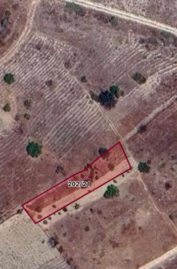 GÜVENAY - ÇORUM MERKEZ ÇUKURÖREN KÖYÜ SATALIK BAĞ 